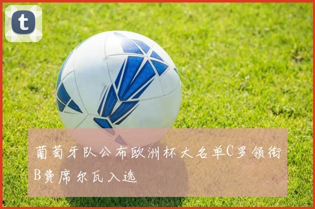 葡萄牙队公布欧洲杯大名单C罗领衔B费席尔瓦入选