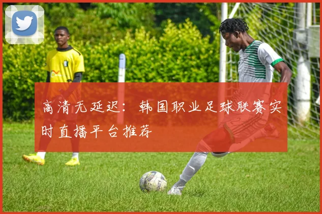 高清无延迟：韩国职业足球联赛实时直播平台推荐