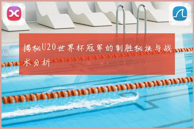 揭秘U20世界杯冠军的制胜秘诀与战术分析