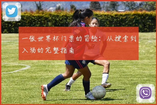 一张世界杯门票的冒险：从搜索到入场的完整指南