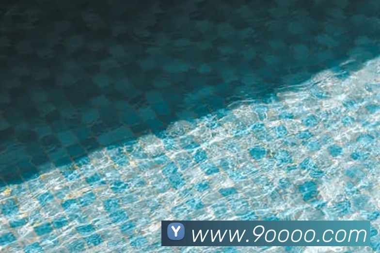 乐鱼网页版登录界面首页平台生态图